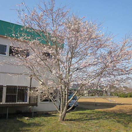 Narita Airport Hostel Sibajama Kültér fotó